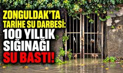 Zonguldak'ta tarihe su darbesi: 100 yıllık sığınağı su bastı!