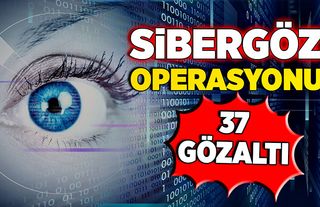 Sibergöz operasyonu: 37 gözaltı