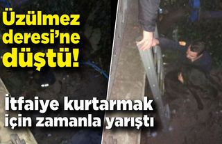 Üzülmez Deresi’ne düştü!  İtfaiye kurtarmak için zamanla yarıştı