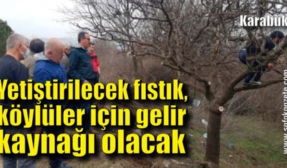 Yetiştirilecek fıstık, köylüler için gelir kaynağı olacak