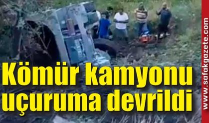 Freni patlayan kömür kamyonu uçuruma devrildi