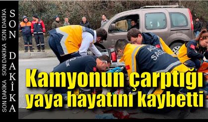 Ereğli'de kamyonet yayayı ezdi