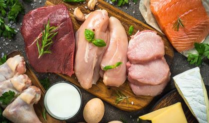 Et Balık Tavuk Ve İşlenmiş Et Ürünleri Malzemesi Alımı