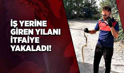 İş yerine giren yılanı itfaiye yakaladı!