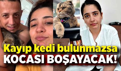 Kayıp kedi bulunmazsa kocası boşayacak