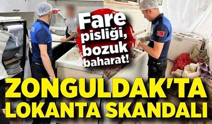 Zonguldak'ta lokanta skandalı: Fare pisliği, bozuk baharat!