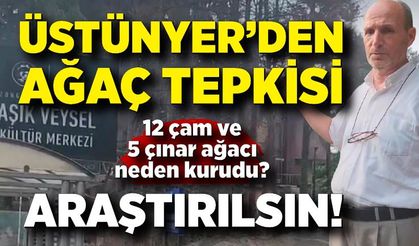 Saadet Partisi’nden kuruyan ağaçlar için çağrı: “Araştırılsın”