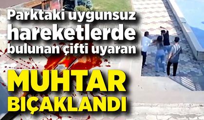 Parktaki uygunsuz hareketlerde bulunan çifti uyaran muhtar bıçaklandı