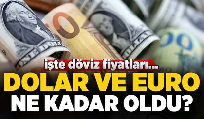 Dolar ve Euro'da son durum! 7 Nisan 2026 döviz kurları ...