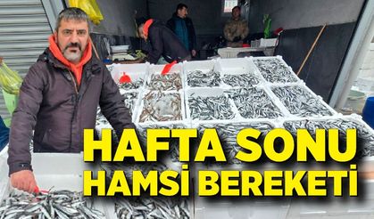 Zonguldak’ta hamsi bolluğu: Vatandaşlar balıkçılara koştu