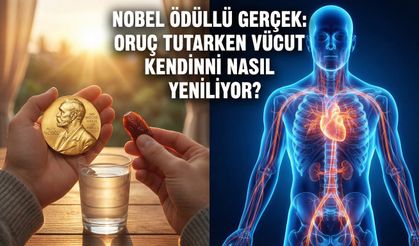 Oruçla Vücut Fabrika Ayarlarına Dönüyor! Otofaji Mucizesi (Nobel Ödüllü Gerçek)