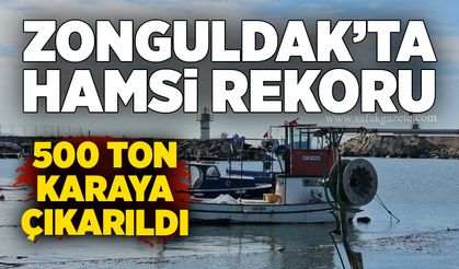Zonguldak’ta hamsi rekoru: 500 ton karaya çıkarıldı