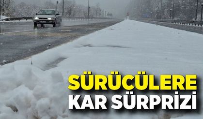 Kar ve sis bastırdı: Bayram yolculuğu kabusa döndü