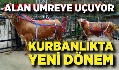 Kurbanlık Alan Umreye Gidiyor: Kampanya Şaşırttı