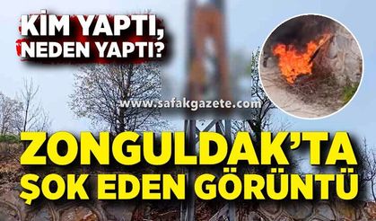Zonguldak’ta Tepki Çeken Olay! Direğe Manken Astılar