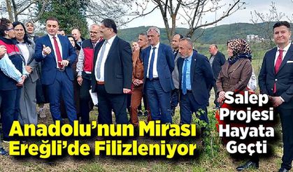 Anadolu’nun Mirası Ereğli’de Filizleniyor; Salep Projesi Hayata Geçti