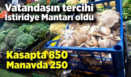 Kasapta 850, manavda 250: Vatandaşın tercihi İstiridye Mantarı oldu