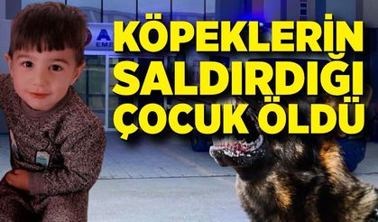 Köpeklerin saldırdığı 5 yaşındaki çocuk hayatını kaybetti