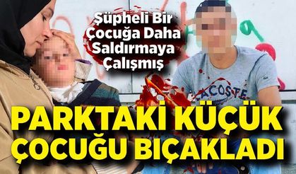 Parkta 2 yaşındaki çocuğa bıçakla saldıran şüpheli tutuklandı