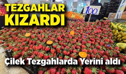 Tezgahlar Kızardı: Çilek Tezgahlarda Yerini aldı