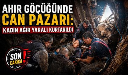 Ahır göçüğünde can pazarı: Kadın ağır yaralı kurtarıldı, hayvanlar enkaz altında kaldı