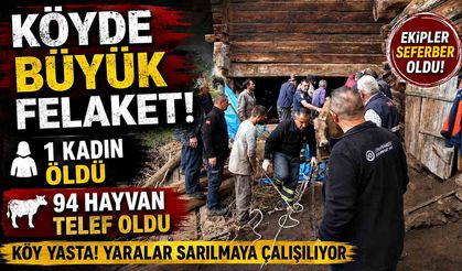 Kastamonu’da göçük felaketi! 1 kadın öldü, 94 hayvan telef oldu