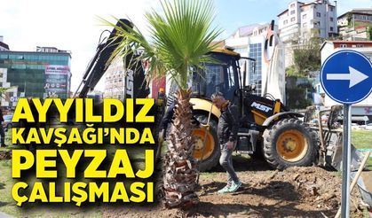 Zonguldak’ta kavşaklara palmiye dokunuşu