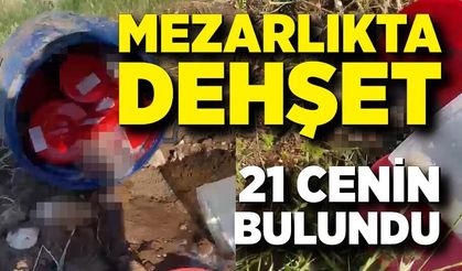 Tüyler Ürperten Olay! Bidonda 21 Cenin Bulundu