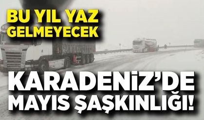 Karadeniz’de Mayıs Şaşkınlığı! Kar Yağışı Etkili Oldu