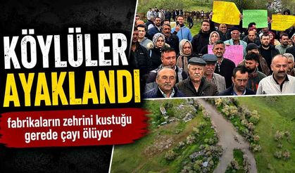 Fabrikaların zehrini kustuğu Gerede Çayı ölüyor: Köylüler ayaklandı