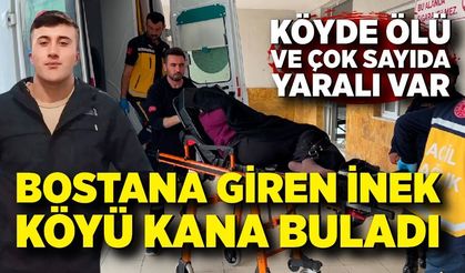 'İneğin bostanıma girdi' kavgası kanlı bitti