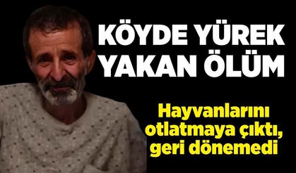 Köyde yürek yakan ölüm!  Hayvanlarını otlatmaya çıktı, geri dönemedi
