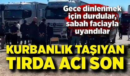 Gece dinlenmek için durdular, sabah faciayla uyandılar