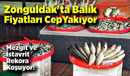 Zonguldak'ta Balık Fiyatları El Yakıyor: Mezgit ve İstavrit Rekora Koşuyor!