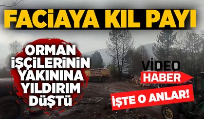 Faciaya kıl payı: Orman işçilerinin yanında ağaca yıldırım düştü