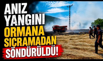 Anız yangını ormana sıçramadan söndürüldü