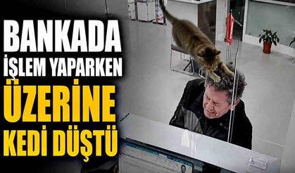 Bankada işlem yaparken üzerine kedi düştü