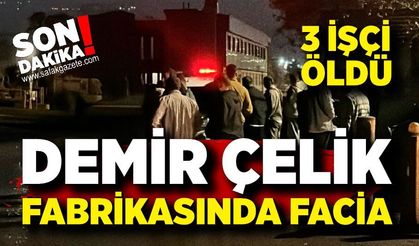 Demir Çelik Fabrikasında Facia: 3 İşçi Hayatını Kaybetti