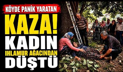 Ihlamur ağacından düşen kadın yaralandı