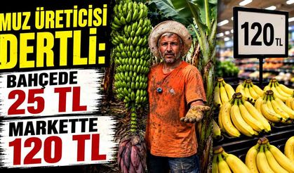 Muz üreticisi dertli: Bahçede 25 TL, markette 120 TL
