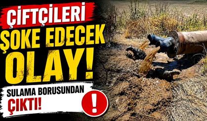 Çiftçiler Gözlerine İnanamadı: Sulama Hattından Çıktılar