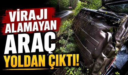 Virajı alamayan hafif ticari araç yoldan çıktı: 3 yaralı