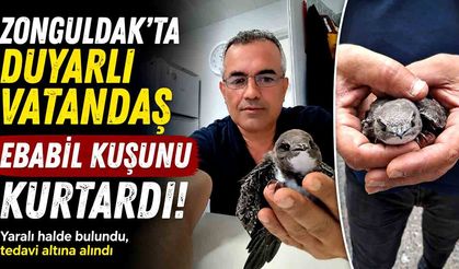 Zonguldak'ta Duyarlı Vatandaş Ebabil Kuşunu Kurtardı