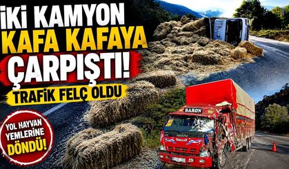 Feci Kaza! İki Kamyon Kafa Kafaya Çarpıştı