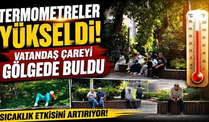 Termometreler yükseldi, vatandaş çareyi gölgede buldu