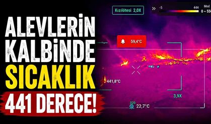Yangının sıcaklığı termal kameralarla ölçüldü