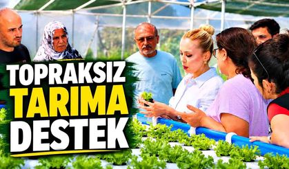 Topraksız tarıma destek