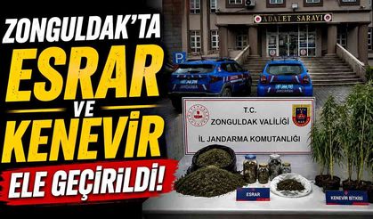 Zonguldak'ta esrar ve kenevir ele geçirildi