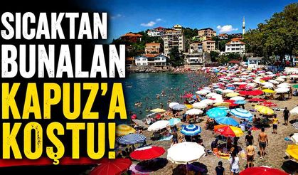 Sıcaktan Bunalan Kapuz'a Koştu!