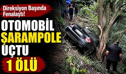 Direksiyon başında rahatsızlanan sürücü şarampole uçtu; 1 ölü